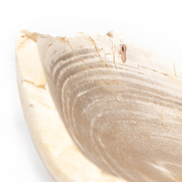 Petrified Wood Bowl