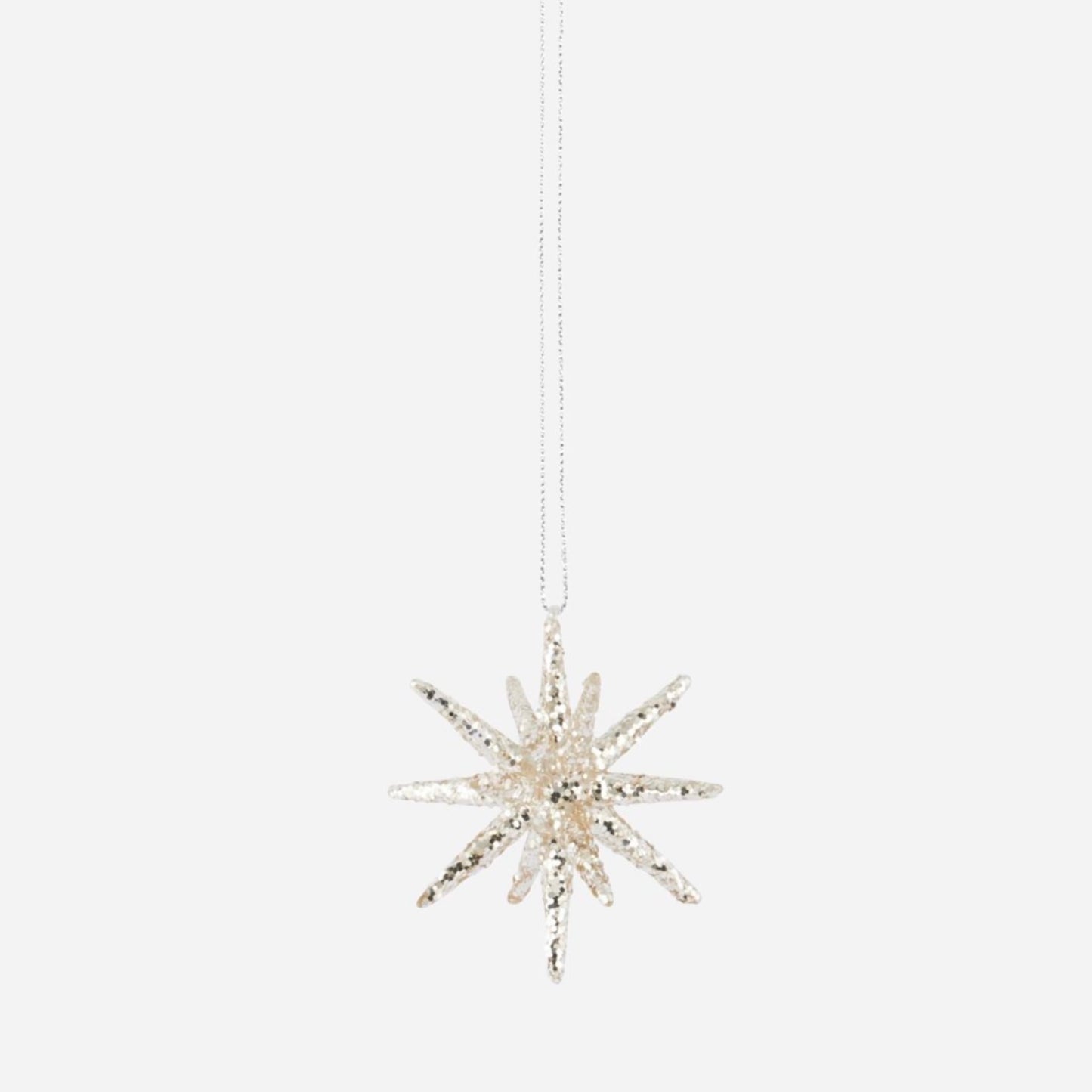 Glittery Star Ornament