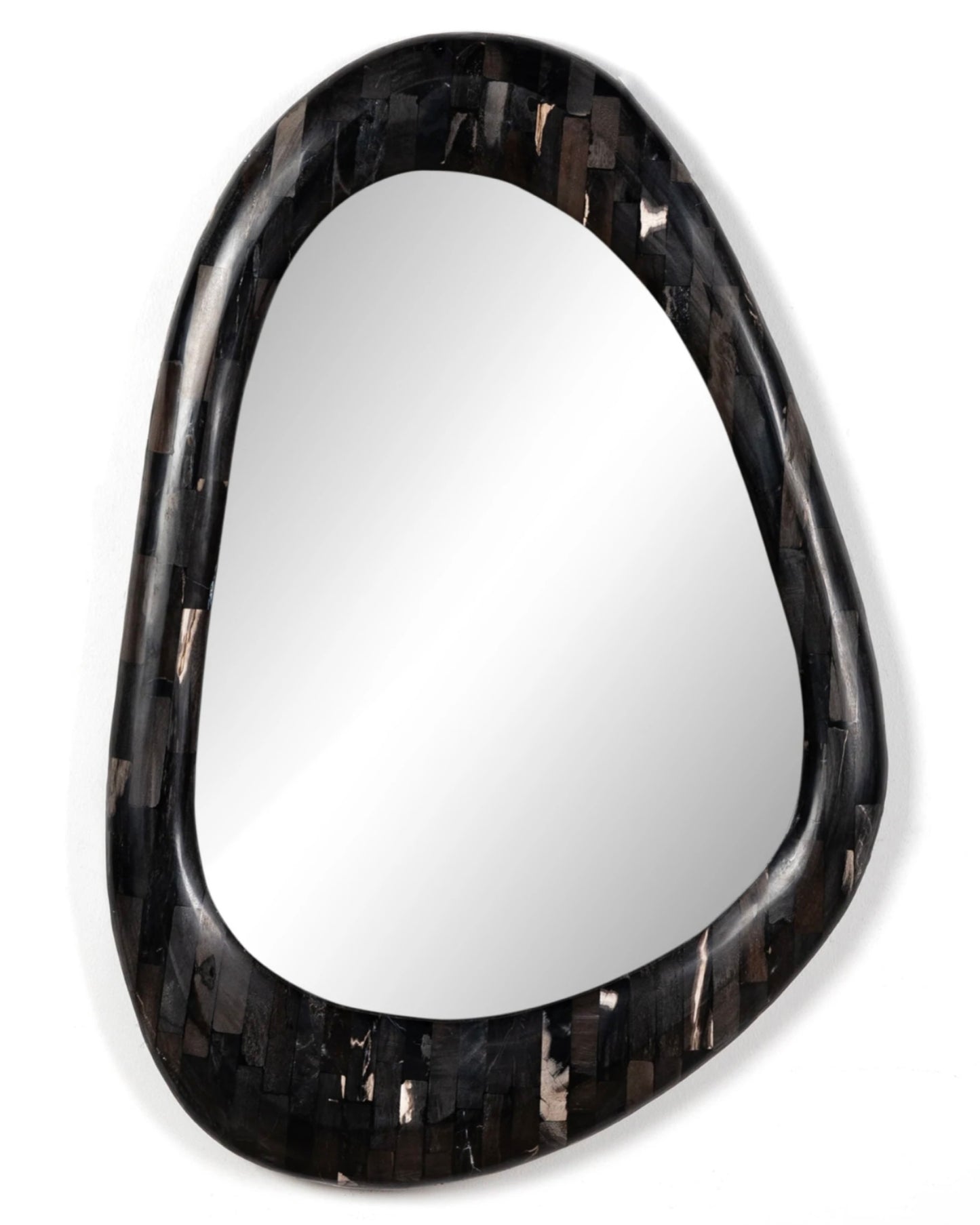 Modern Petrified Wood Mirror