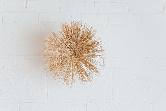 Wall Sun